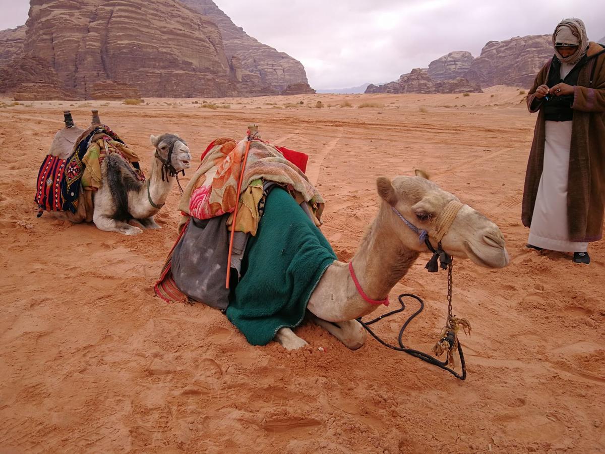 Martian Camp Wadi Rum Luaran gambar