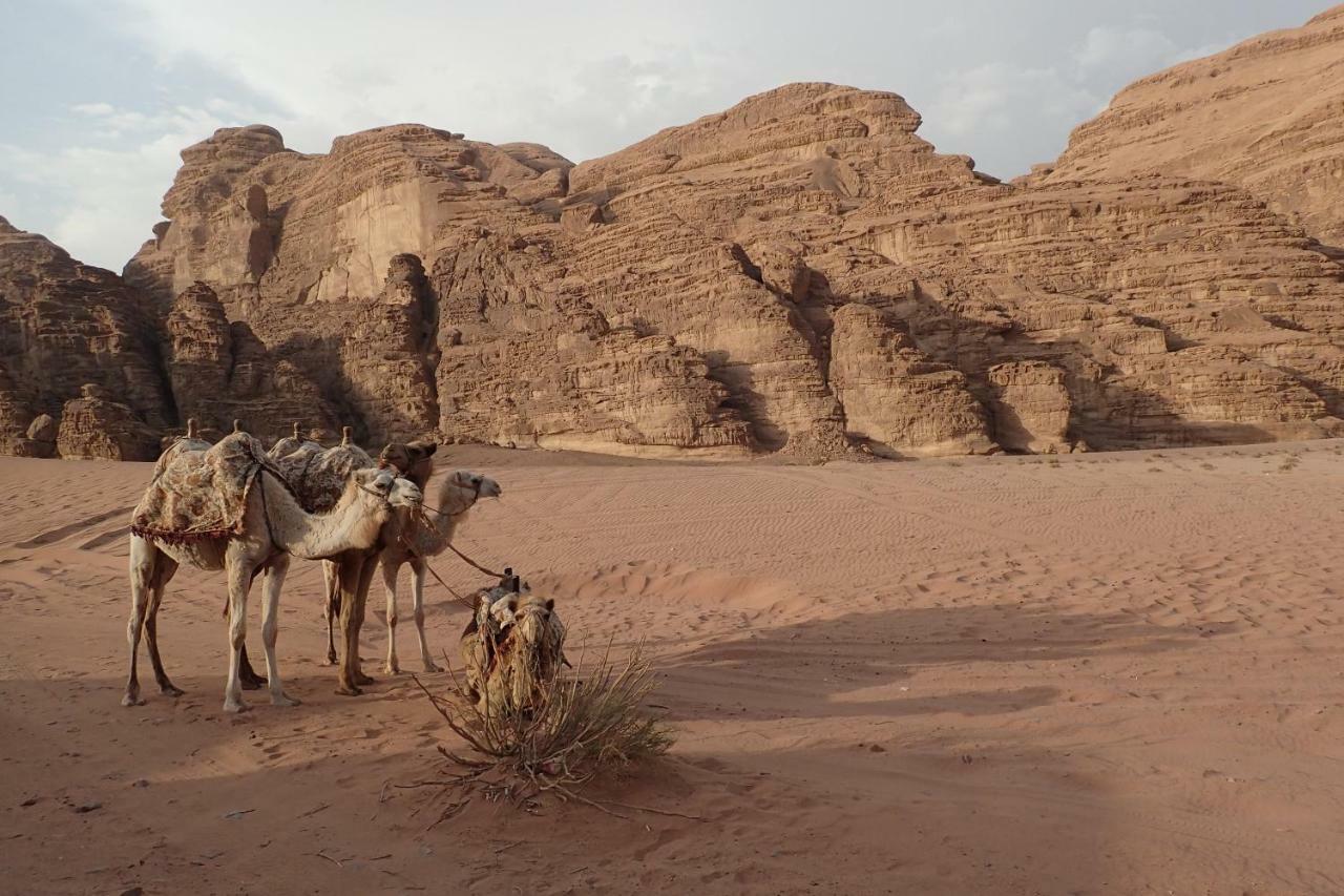 Martian Camp Wadi Rum Luaran gambar