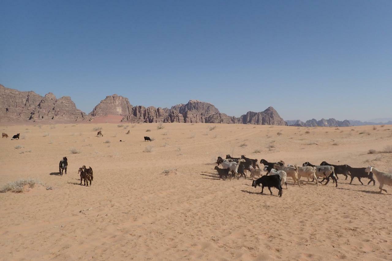 Martian Camp Wadi Rum Luaran gambar